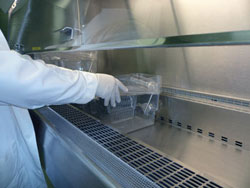 人體工程學生物安全柜